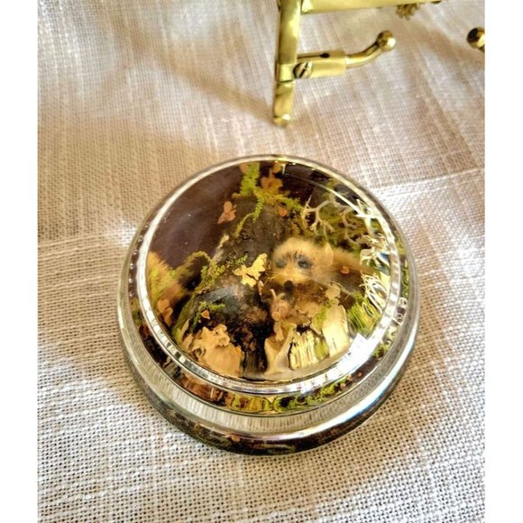 Vintage Lucite Pressed Flower Moss Squirrel Paperweight - Picture 5 of 10